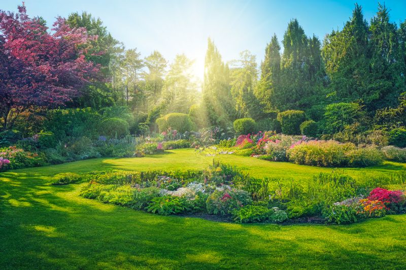 Landscape Design Service in Honolulu, HI