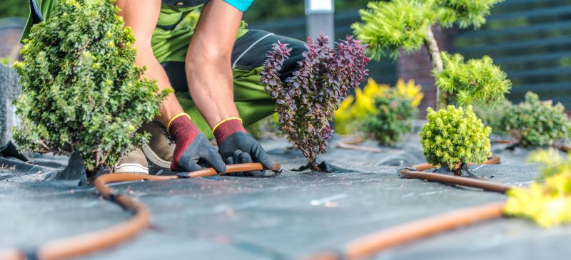 Lawn And Garden Installation in Ventura County, CA