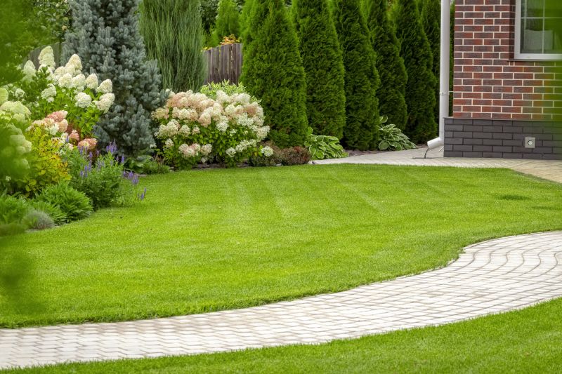 Privacy Landscaping in Honolulu, HI