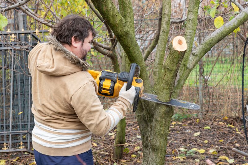 Local Tree And Lawn Service pros at work