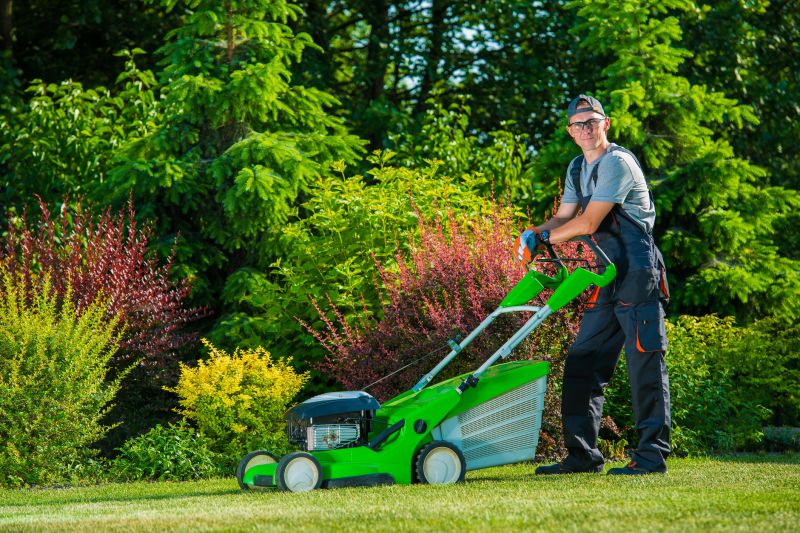 Tree And Lawn Service