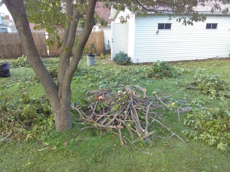 Tree And Lawn Service