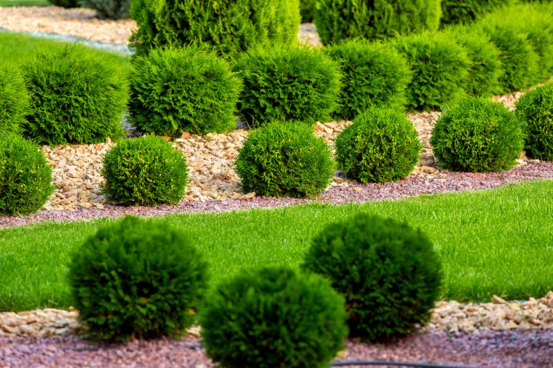 Bush Replacement in Honolulu, HI