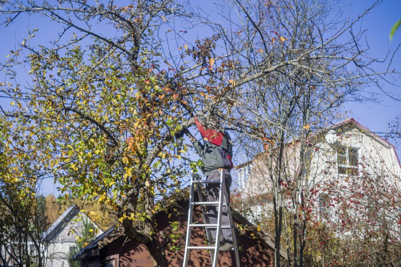 Tree And Lawn Service