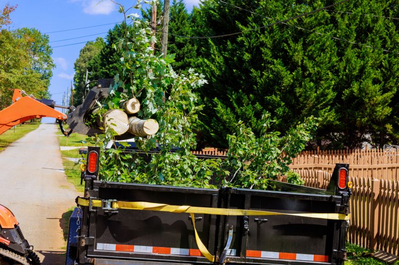 Tree And Lawn Service