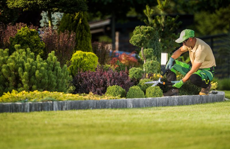 Landscaping Replacement
