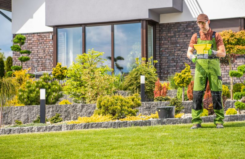 Lawn Landscaping