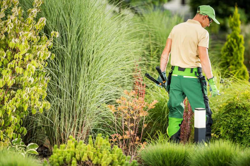 Yard Landscaping Service