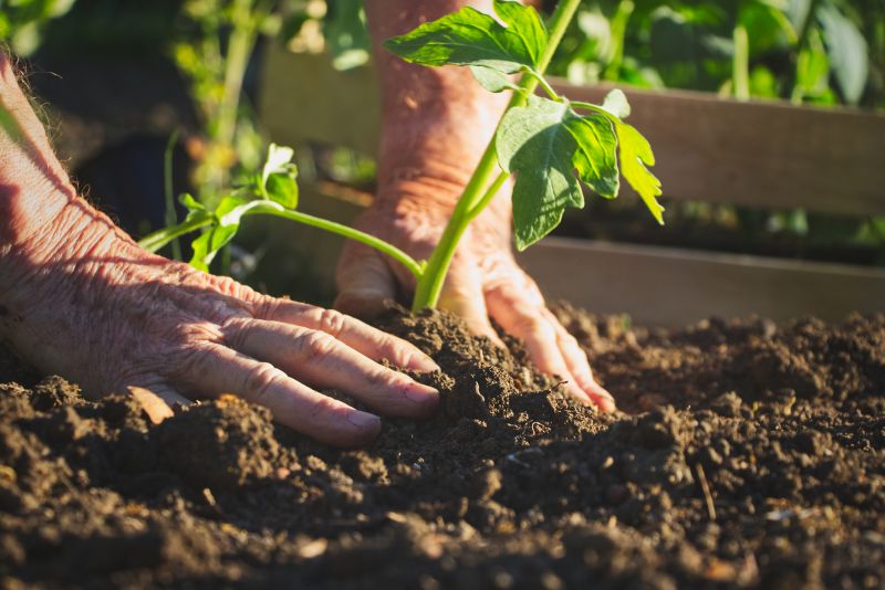 Flower Bed Maintenance in Honolulu, HI