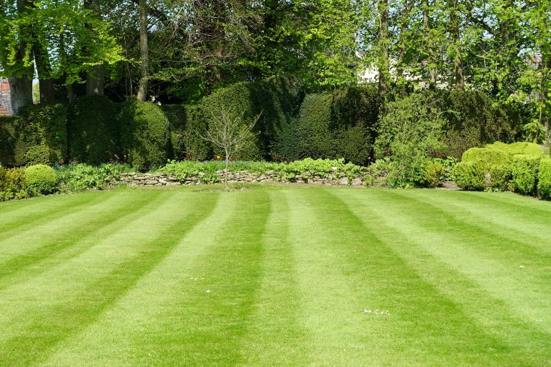 Tree And Lawn Service detail