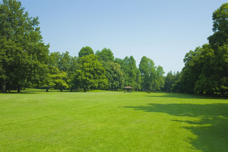 Tree And Lawn Service detail