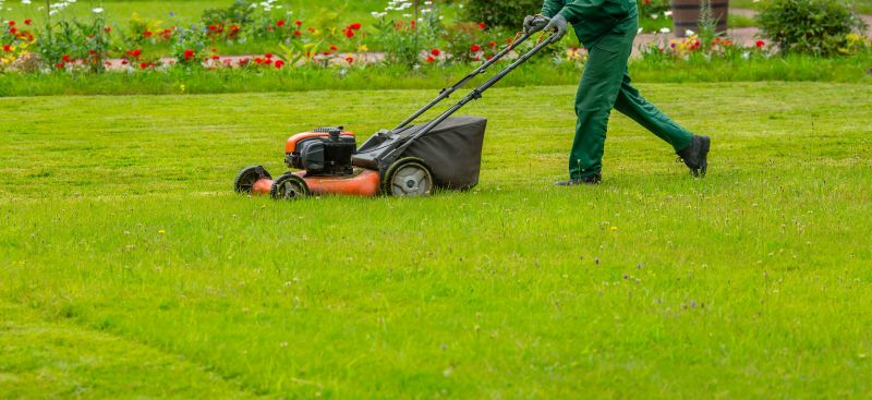 Tree And Lawn Service detail