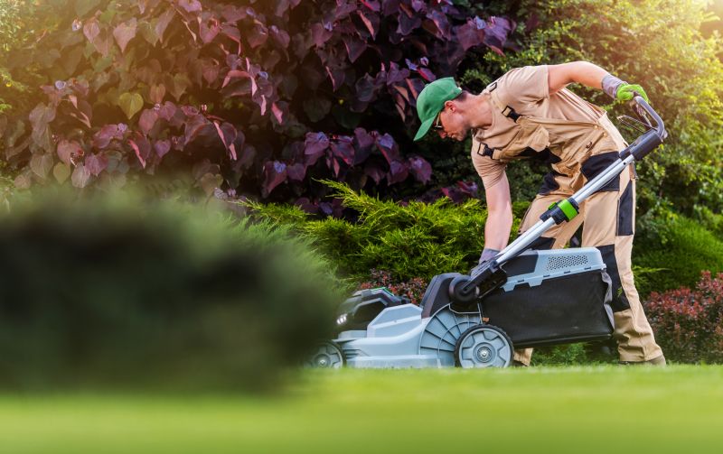 Yard Landscaping Service