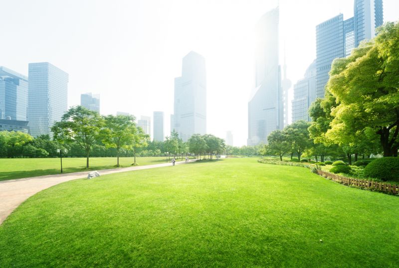 Golf Course Landscaping in Honolulu, HI