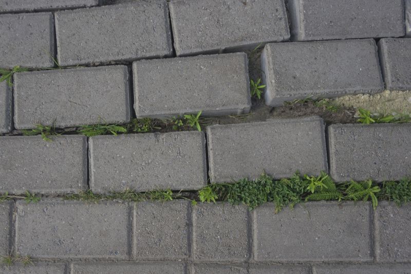 Paver Walkway Installation in Boston, MA
