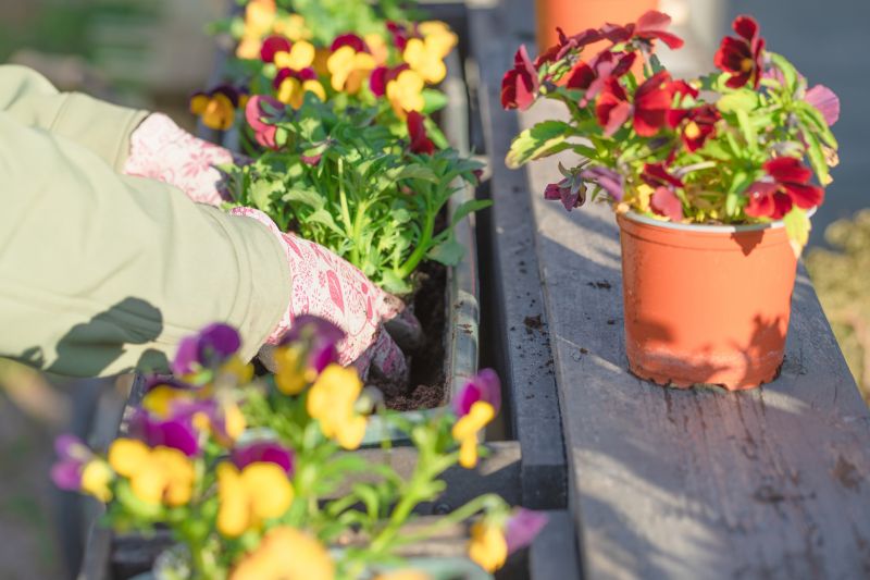 Planting Service in Ventura County, CA