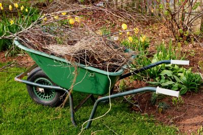 Tree And Lawn Service