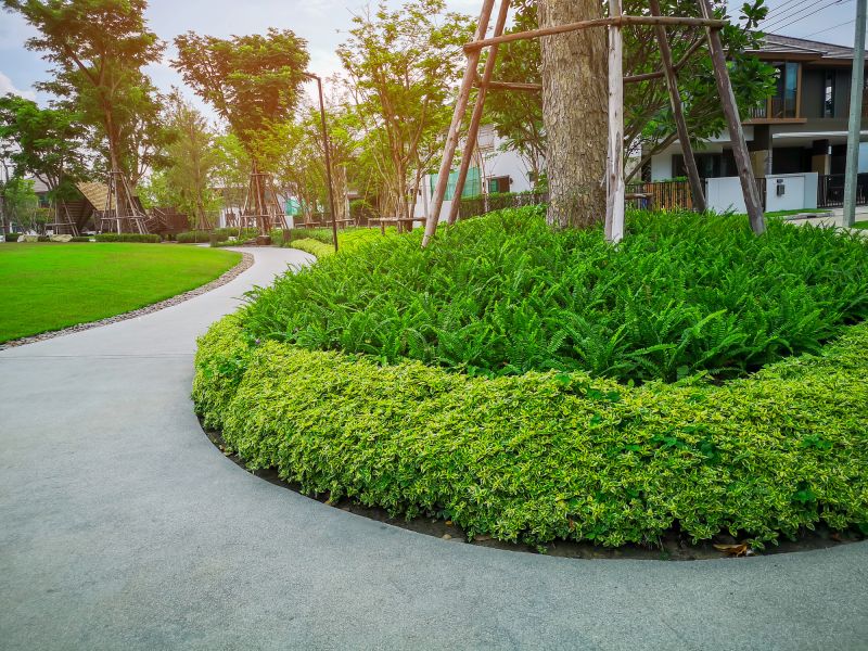 Tree Curbing Installation in Citrus County, FL