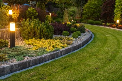 Tree Edging Installation in Citrus County, FL