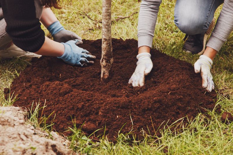 Tree Planting Service in Honolulu, HI