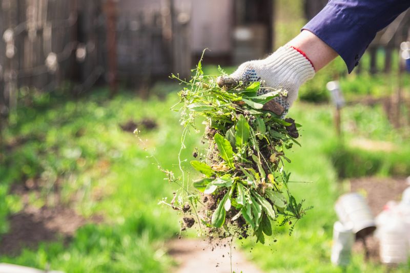 Weeding And Mulching in Honolulu, HI