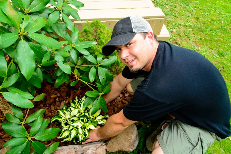 Weeding And Mulching